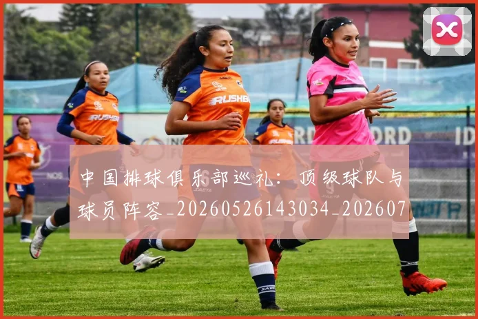 中国排球俱乐部巡礼：顶级球队与球员阵容_20260526143034_20260715194102