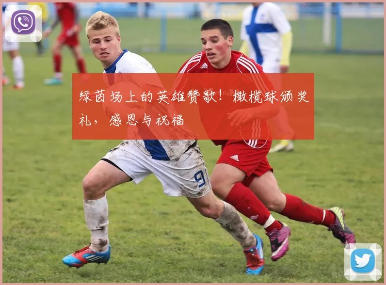 绿茵场上的英雄赞歌!橄榄球颁奖礼,感恩与祝福